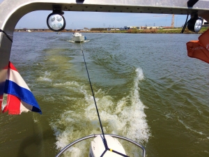 Eerste zomerse dag